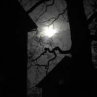 Full-Moon-Wolf-Sanctuary-PA