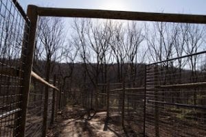 enclosure-001