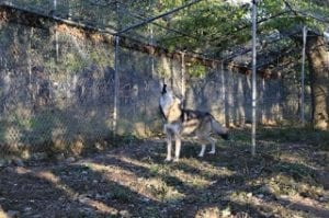 little-girl-blog-02