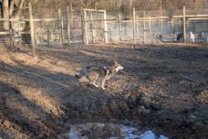 little-girl-blog-04