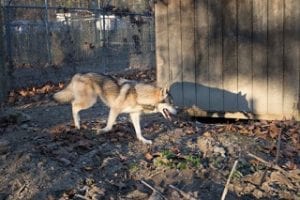 little-girl-blog-05