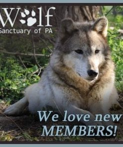 Memberships