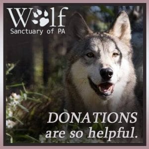 Donations-feature-image Donations