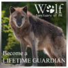 Become a Lifetime Guardian